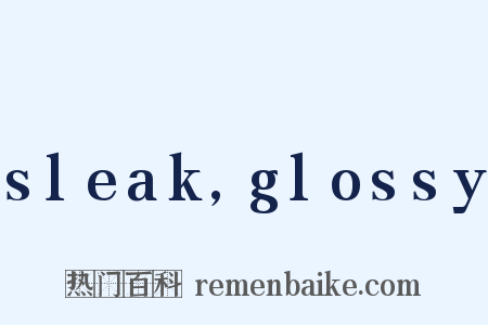 sleak,glossy是什么意思的图片